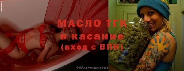 твердый Инта