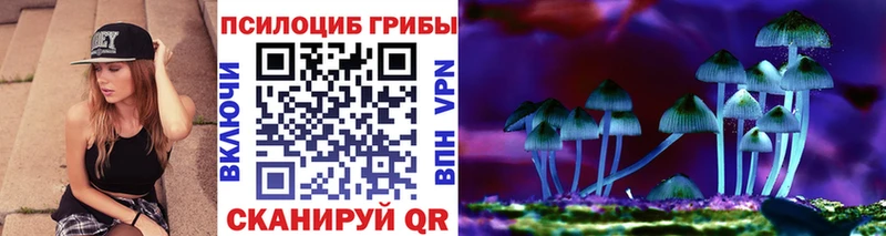 Псилоцибиновые грибы Psilocybe  Ессентуки 